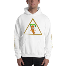Load image into Gallery viewer, The Tamarind Man's Jam Golden Triangle Unisex Hoodie