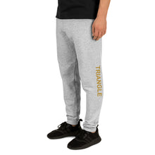 Load image into Gallery viewer, The Tamarind Man's Jam Golden Triangle Unisex Joggers