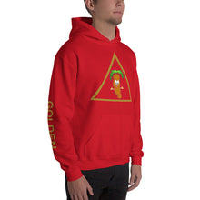 Load image into Gallery viewer, The Tamarind Man&#39;s Jam Golden Triangle Unisex Hoodie
