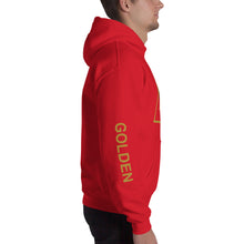 Load image into Gallery viewer, The Tamarind Man&#39;s Jam Golden Triangle Unisex Hoodie
