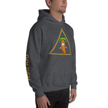 Load image into Gallery viewer, The Tamarind Man&#39;s Jam Golden Triangle Unisex Hoodie
