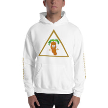 Load image into Gallery viewer, The Tamarind Man&#39;s Jam Golden Triangle Unisex Hoodie
