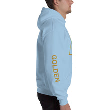 Load image into Gallery viewer, The Tamarind Man&#39;s Jam Golden Triangle Unisex Hoodie
